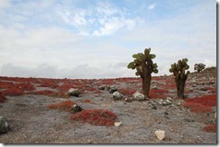IMG_1224-700