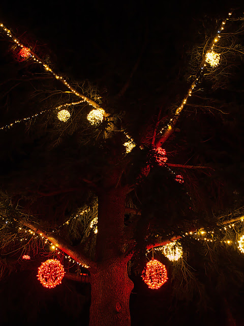 jiemve, le temps d'une pose, illuminations, Abbaye de l'Epau