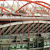 Benfica anuncia redução da dívida em 97,3 milhões