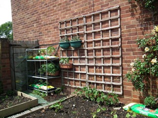 Vertical gardening May 2011