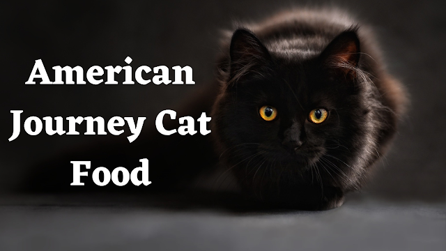 American Journey Cat Food