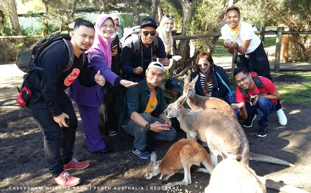 Caversham Wildlife Park, Perth Australia