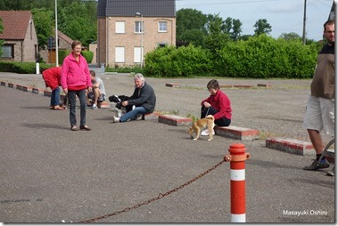 15-DSC08091