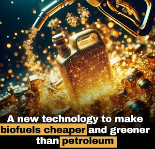 What The Hell Is CELF!! - The New Technology Said To Make Biofuels Cheaper And Greener Than Petroleum?