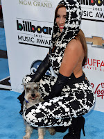 Nayer actions at Billboard Music Awards 2013