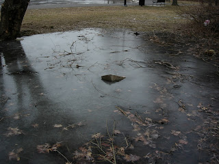 Frozen lake, New Jersey