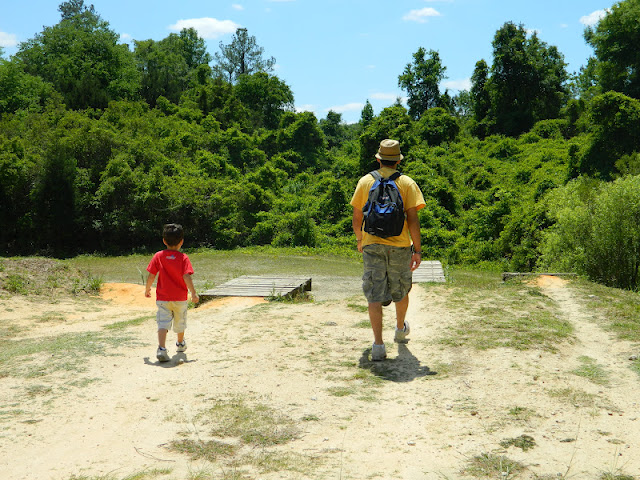 santos bike trail Ocala, FL