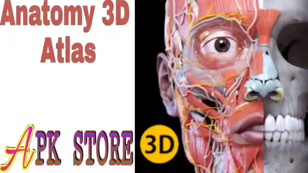 Anatom-3d-atlas-free