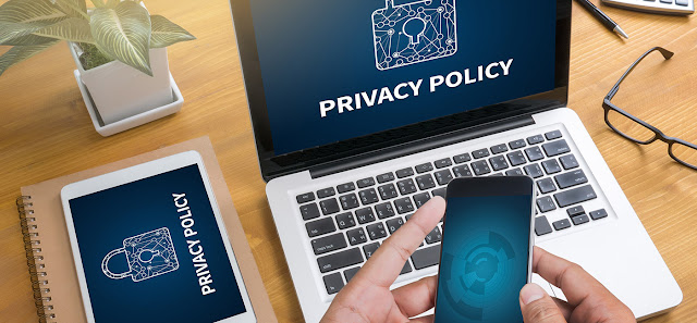 Privacy Policy and Disclaimer
