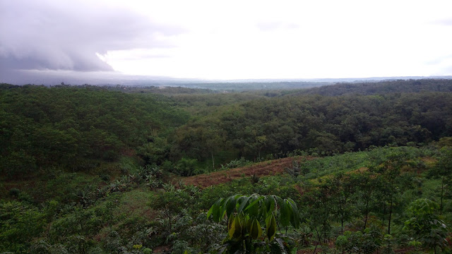 Wisata Gunung Pasang Di Jember Jawa Timur