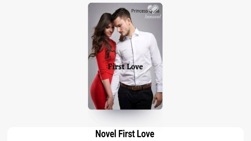 Novel First Love Full Bab