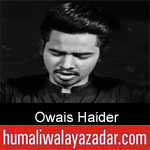 https://www.humaliwalayazadar.com/2019/09/owais-haider-nohay-2020.html