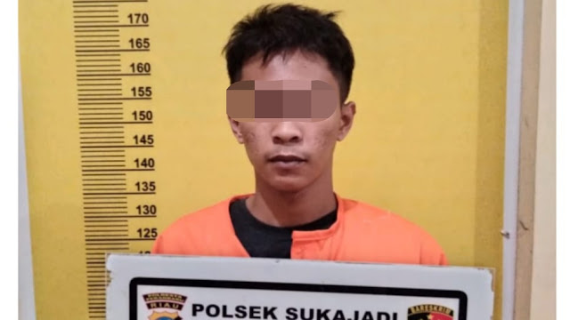 Bawa Kabur Motor Teman, BS Diringkus Tim Opsnal Polsek Sukajadi