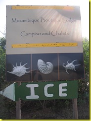 IMGP2373