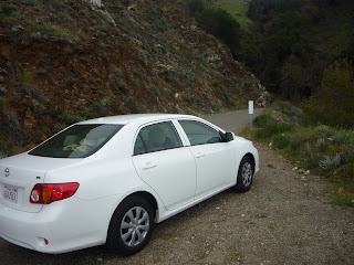 Toyota Corolla white