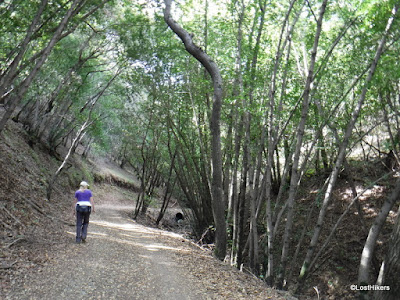 Hiking in Santa Isabel Trail, Almaden Quicksilver