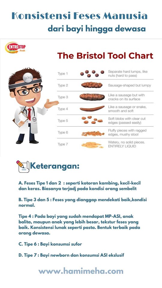 Konsistensi feses dan kesehatan