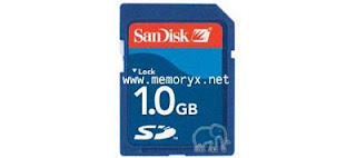 Flash Memory - 1GB Canon Digital Camera SD Secure Digital Card