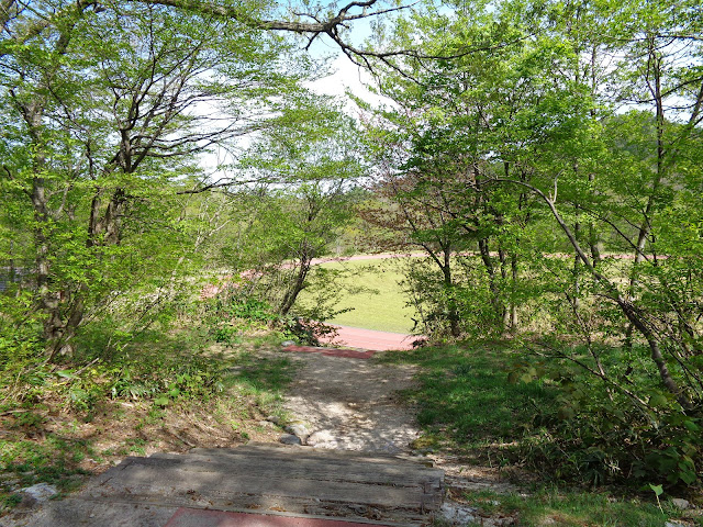 大山町 大山総合体育館　グランド