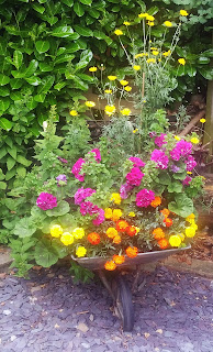 we no longer need a wheelbarrow, so we turned it into a plant pot