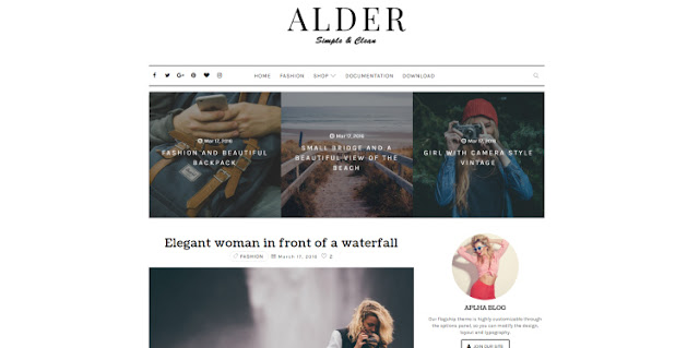 Alder Blogger Template