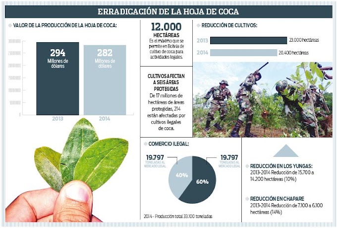 40% de la coca va a los mercados ilegales