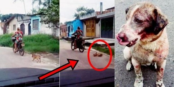 (CRUELDADE)Mulher arrasta cadela pelas ruas de forma doentia.Assista o momento