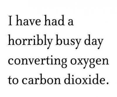 Busy day converting oxygen to carbon dioxide