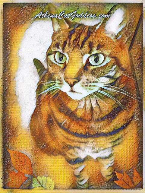 Autumnal Caturday Art