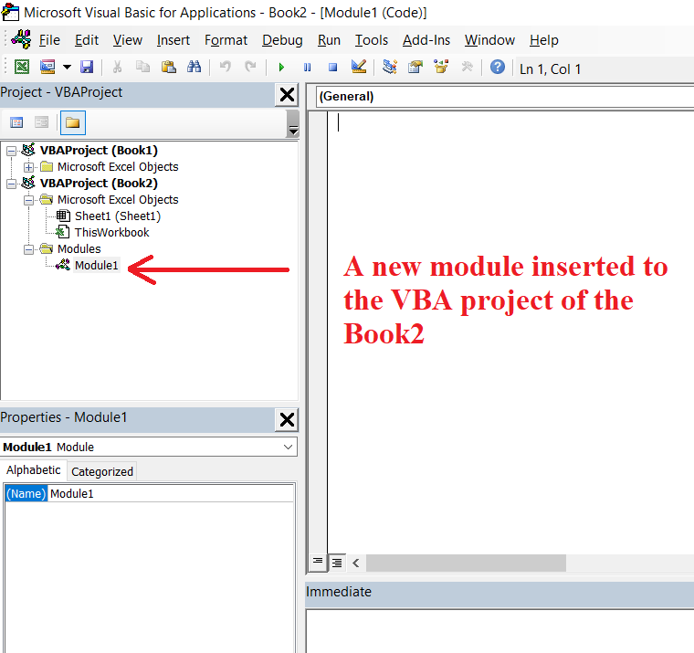 A new module inserted to the VBA project
