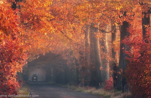 landscapes-paisagens-desbaratinando (19)