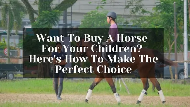 Choosing the perfect horse breed for your children