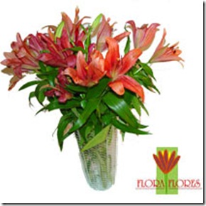 Flora Flores R$95,00