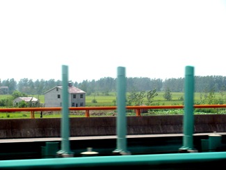 IMG_2903 IMG_2903