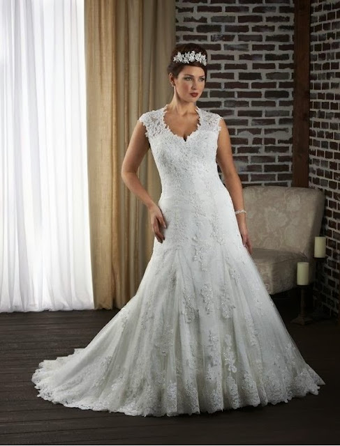 RainingBlossoms 2014 New Plus  Size  Wedding  Gowns  in 