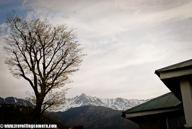 During beginning of this year, I visited Dharmshala for covering finals of Cricket Mahasangram and HPCA(Himachal Pradesh Cricket Association) had arranged for stay in Dhauladhar Hotel, which is just in the middle of Dharmshala Market.This is a view of backside where Dhauladhar Hotel has some open dining area with wonderful view to the valley !!I took Volvo form Delhi and reached early in morning. Dhauladhar Hotel is at walkable distance from Bus stand but since I had more stuff to carry, so got a taxi at very reasonable tariff (50 Rs :) )I entered into the room and it was decent, although very old. Personally I am not very choosy unless things are not neat and well placed. So I found this room a good place to stay for me. Service was also good, although I had an extra advantage of being able to speak in Himachali ! I loved the woodwork there. I have heard of Kangra Suite in this hotel which is considered as best place.Here is a view of some colony from open dining area of Dhauladhar Hotel in Dharmshala !!! This hotel is approximately 4 kilometers far from Cricket Stadium constructed by Himachal Pradesh Cricket Association.Another view of a valley from Dhauladhar Hotel in Dharmshala, Himachal Pradesh, INDIA. Usually people prefer to stay in Mcleodganj as compared to Dharmshala Town.Hotel corridor which connect most of the rooms on second floor. The first suite on the right is Kangra Suite !!!This is back side of Dhauladhar Hotel in Dharmshala ! This could have been better maintained. There is enough space to make a garden as well !!!Another view of a valley from Restaurant of Dhauladhar Hotel in Dharmshala !!!Dhualadhar Mountain ranges are clearly visible from this hotel and people prefer to have their meals in open dining area !!!This is restaurant of Dhauladhar Hotel, which can be seen empty most of the times. It's not that people don't visit, but people prefer to sit in open dining area.There is a small parking area in front of main entry of Dhauladhar hotel, but it seems currently residents of Dharmshala use it in better way :)Here is another corridor in Dhauladhar Hotel, Dharmshala. Monkeys can be seen in these corridors as whole area is not very well closed. So they enjoy walking inside this hotel to see different types of tourists !!! Soon after checking in at Dhauladhar, I had to reach stadium. I thought of walking down to the stadium and few gentlemen offered me lift but I wanted to see other things on the way. Photograph above shows dense Dharmshala town where everyone want to live !!!A photograph of road going down towards HPCA cricket stadium. Dharmshala market is mainly spread around this road only. There are some main offices are also on the way to stadium !!!Another view of Dharmshala valley full of colorful houses !!!Another HPTDC hotel in Dharmshala Market !!Roads are really well maintained inside the town. Overall roads in Himachal Pradesh are far better than what we daily see in Noida.Here is last colorful photograph from Dharmshala !!! Overall stay at Dhauladhar Hotel was good and I love HPTDChotel.