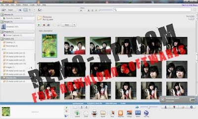 Picasa 3.8