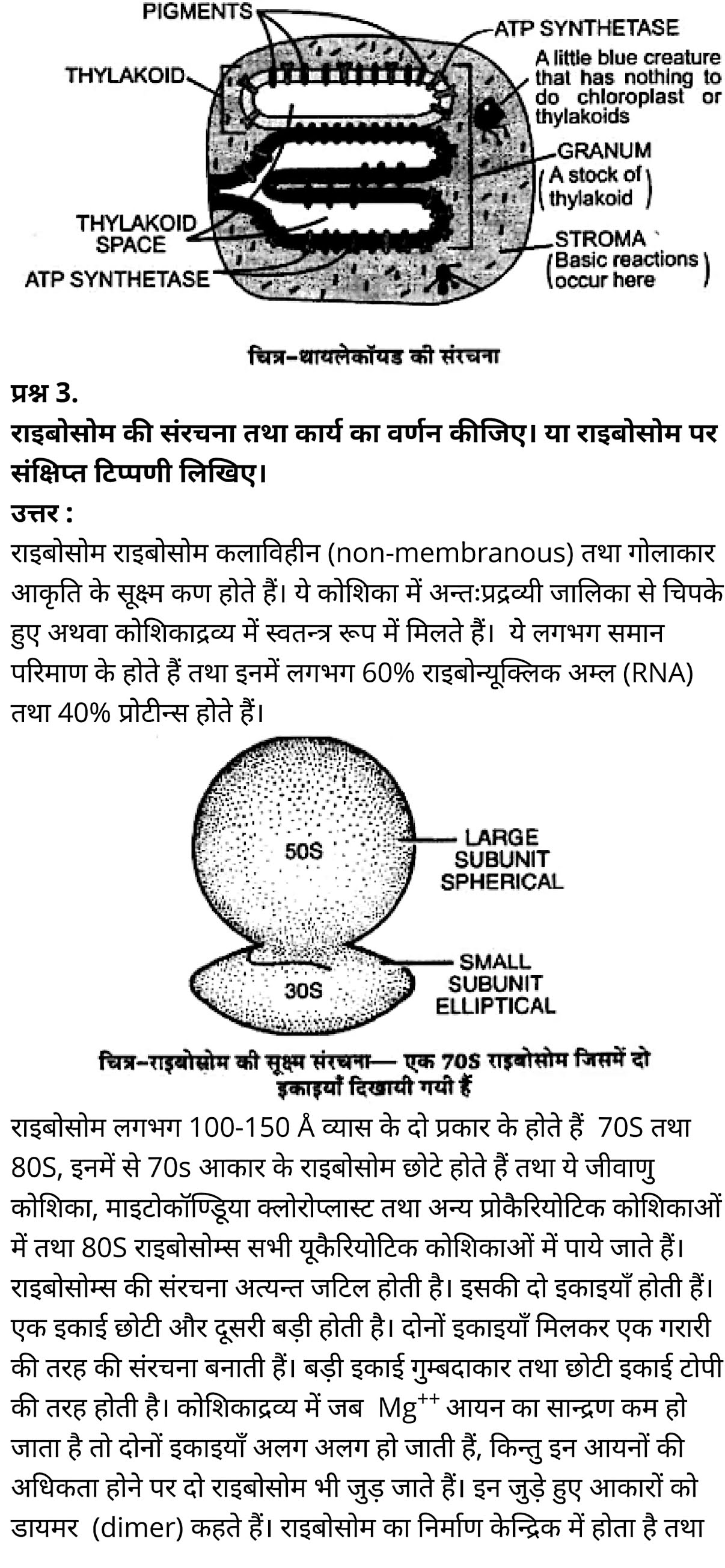 कक्षा 11 जीव विज्ञान अध्याय 8 के नोट्स हिंदी में एनसीईआरटी समाधान,   class 11 Biology Chapter 8,  class 11 Biology Chapter 8 ncert solutions in hindi,  class 11 Biology Chapter 8 notes in hindi,  class 11 Biology Chapter 8 question answer,  class 11 Biology Chapter 8 notes,  11   class Biology Chapter 8 in hindi,  class 11 Biology Chapter 8 in hindi,  class 11 Biology Chapter 8 important questions in hindi,  class 11 Biology notes in hindi,  class 11 Biology Chapter 8 test,  class 11 BiologyChapter 8 pdf,  class 11 Biology Chapter 8 notes pdf,  class 11 Biology Chapter 8 exercise solutions,  class 11 Biology Chapter 8, class 11 Biology Chapter 8 notes study rankers,  class 11 Biology Chapter 8 notes,  class 11 Biology notes,   Biology  class 11  notes pdf,  Biology class 11  notes 2021 ncert,  Biology class 11 pdf,  Biology  book,  Biology quiz class 11  ,   11  th Biology    book up board,  up board 11  th Biology notes,  कक्षा 11 जीव विज्ञान अध्याय 8, कक्षा 11 जीव विज्ञान का अध्याय 8 ncert solution in hindi, कक्षा 11 जीव विज्ञान  के अध्याय 8 के नोट्स हिंदी में, कक्षा 11 का जीव विज्ञान अध्याय 8 का प्रश्न उत्तर, कक्षा 11 जीव विज्ञान अध्याय 8 के नोट्स, 11 कक्षा जीव विज्ञान अध्याय 8 हिंदी में,कक्षा 11 जीव विज्ञान  अध्याय 8 हिंदी में, कक्षा 11 जीव विज्ञान  अध्याय 8 महत्वपूर्ण प्रश्न हिंदी में,कक्षा 11 के जीव विज्ञानके नोट्स हिंदी में,जीव विज्ञान  कक्षा 11 नोट्स pdf,