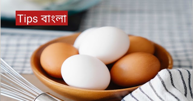 White Egg and Red Egg - সাদা ডিম ও লাল ডিমের পার্থক্য