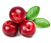 Gambar buah Cranberry