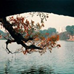 View album
