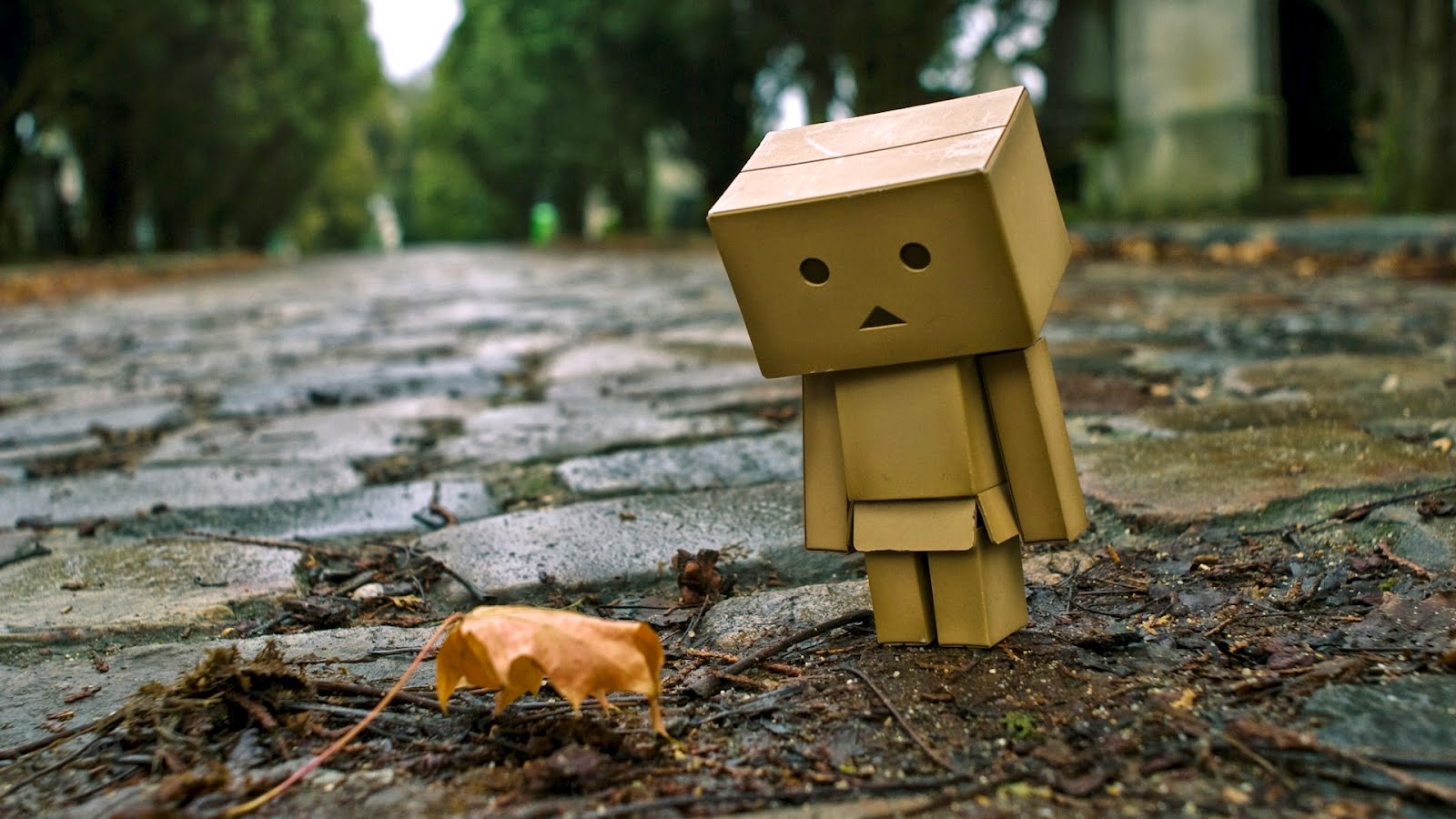 WALLPAPER ANDROID IPHONE Wallpaper Danbo  Sedih 