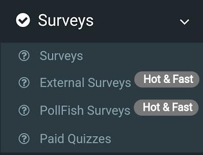 Paidera surveys