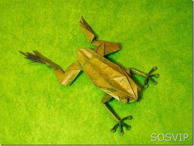 Origamis (8)