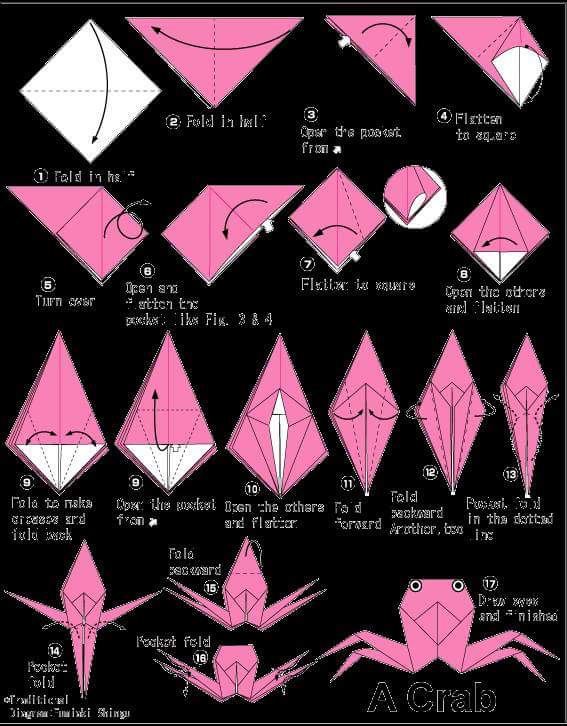 Berbagai Jenis Origami  Binatang  Kerajinan  Tangan Lipat 