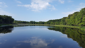 a view of the large pond at DelCarte