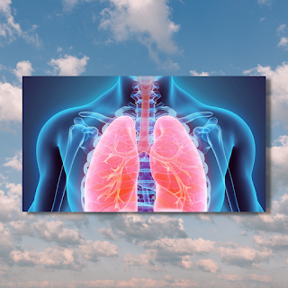 This blog discusses when to seek medical care for your child with regards to breathing, respiratory distress, and trouble breathing.  This blog outlines what to look for, in the case of respiratory distress.