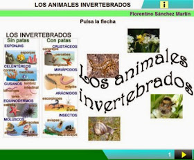http://cplosangeles.juntaextremadura.net/web/edilim/curso_3/cmedio/animales_invertebrados_3/invertebrados/invertebrados.html