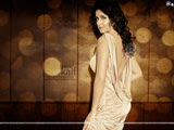 Katrina Kaif wallpaper