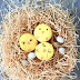 Easter Baby Chick Macarons 
